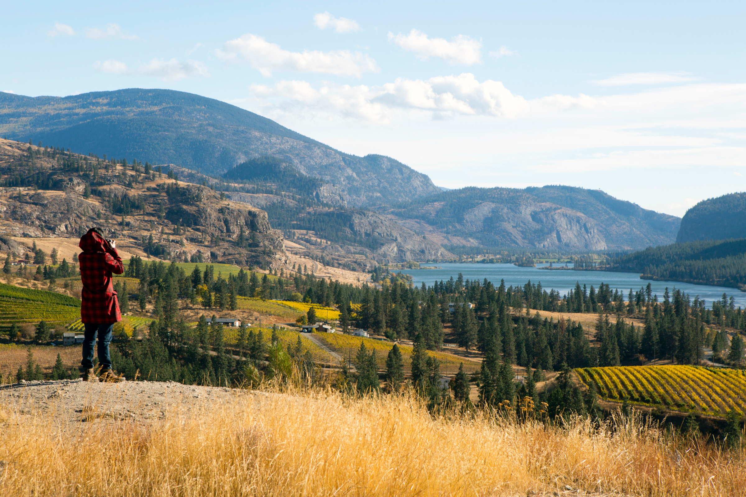 okanagan falls, british columbia (2).webp